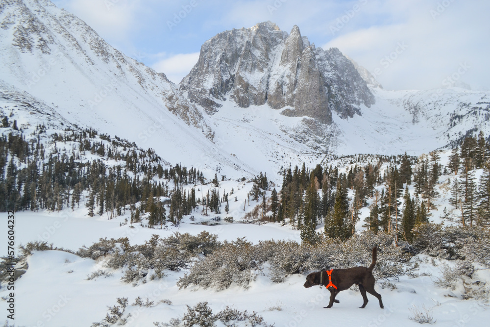 Snowshoeing to Temple Crag with man's best friend. Snowshoeing to Temple Crag with man's best friend.