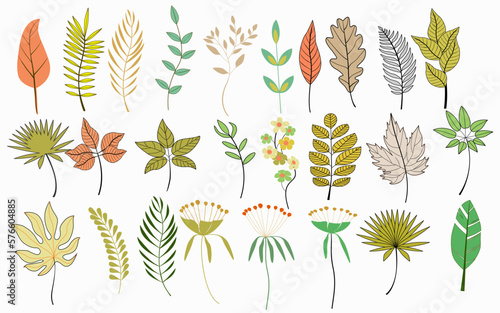 Set tropical leaves hand drawn flat illustrations. Exotic plants sketch cliparts collection, Set of hand drawn uneven herbs and leaves