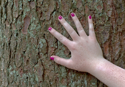 Nail- varnished hand of girl on tree bark in the forest,UK