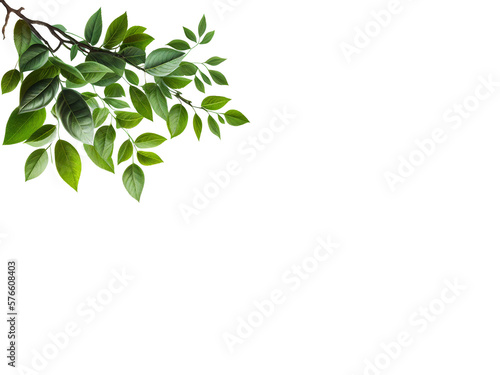 Tree branch with copy space and leaves isolated on clear background for object and retouch design. Generative AI