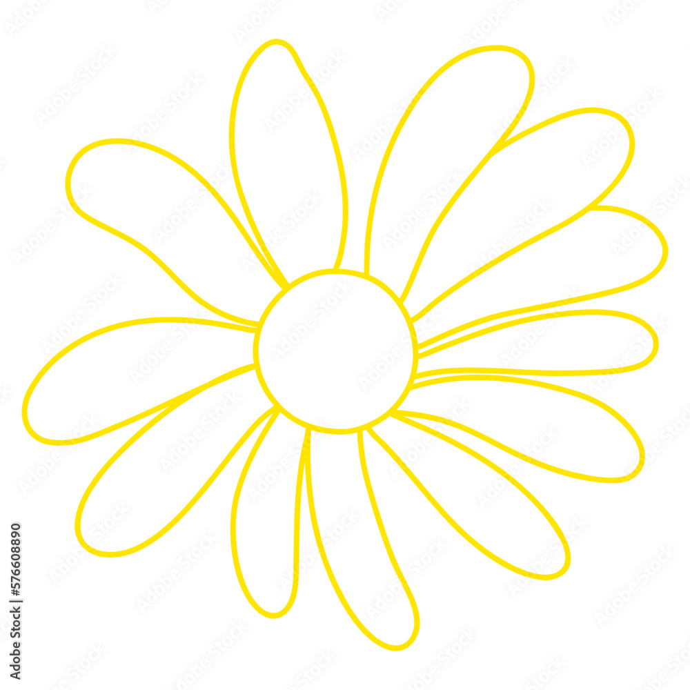 ox-eye daisy flower, chamomile flower, Spring Element ox-eye daisy flower, chamomile flower, Spring Element