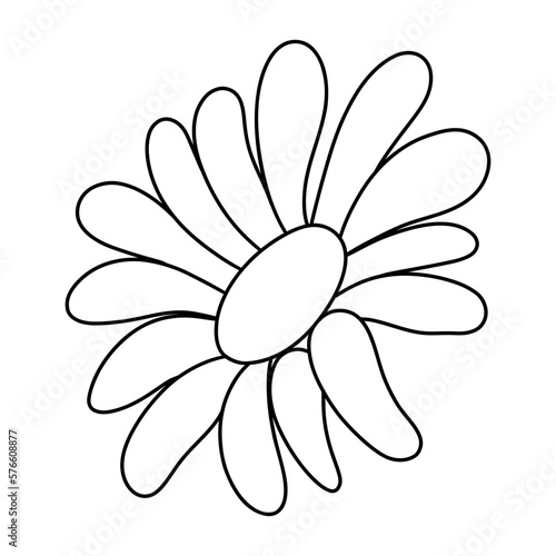 ox-eye daisy flower, chamomile flower, Spring Element