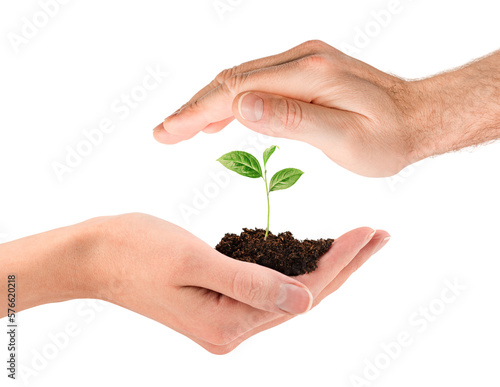 male and female hands hold a sprout on a white isolated background, the concept of protection and care