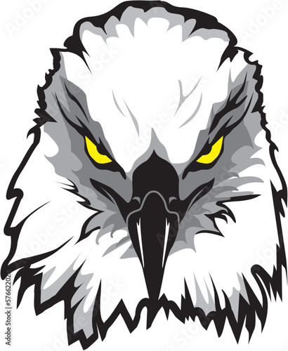 Adler Portrait als Vektoren