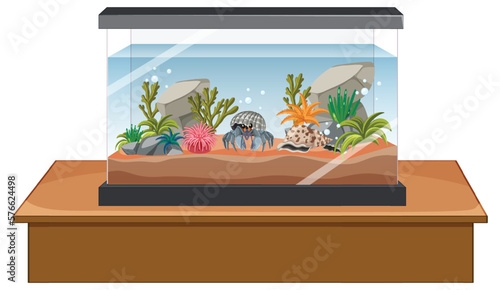 Aquarium tank with fishes and decorations on white background