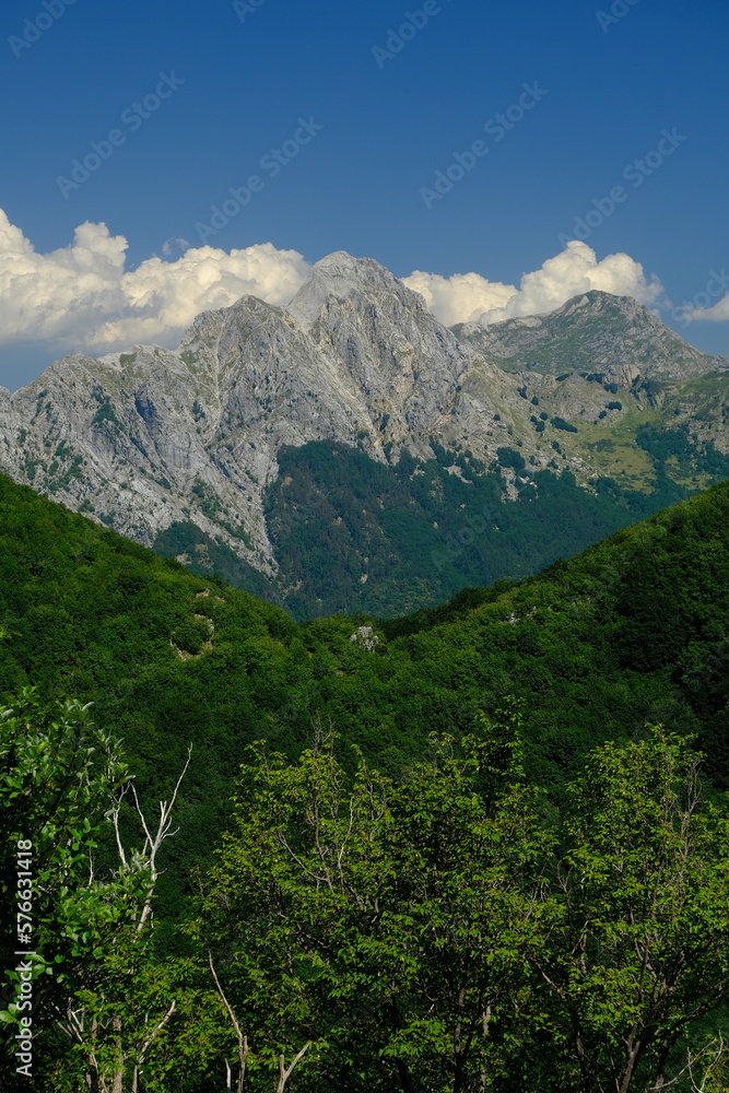 Pizzo d’Uccello. Panorama of mountains. Pizzo d'Uccello, Monte Sagro and the Apuan Alps between green woods and blue sky. Apuan Alps, Tuscany, Italy. 