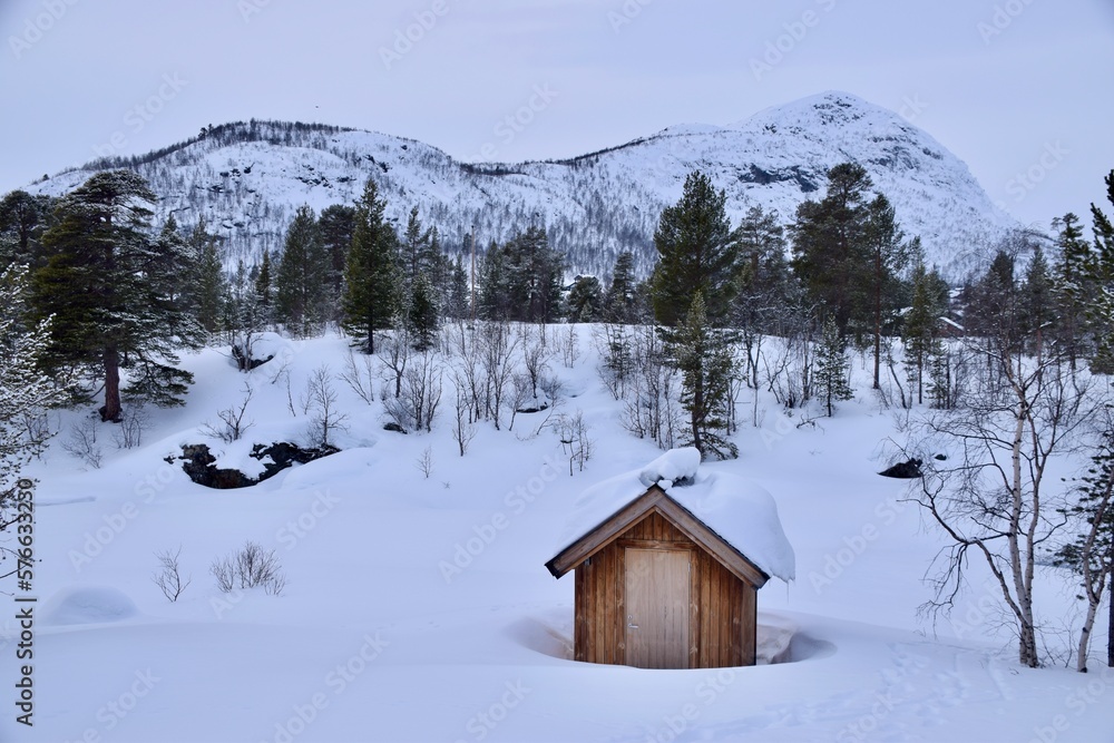 Snowy Alpine scene, Hovden , Norway, February 2023. Little wooden hut, trees and snow. 
