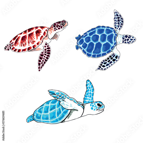 Set of brown, blue and aqua color turtles isolated on transparent background. Vector EPS illustration marine animals.