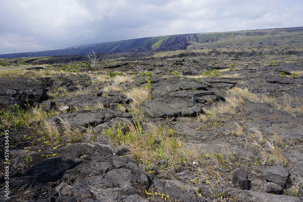 Lava field in Big island in Hawaii