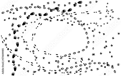 Traces of forest animals, animal tracks isolated on a white background, copy space, vector illustration