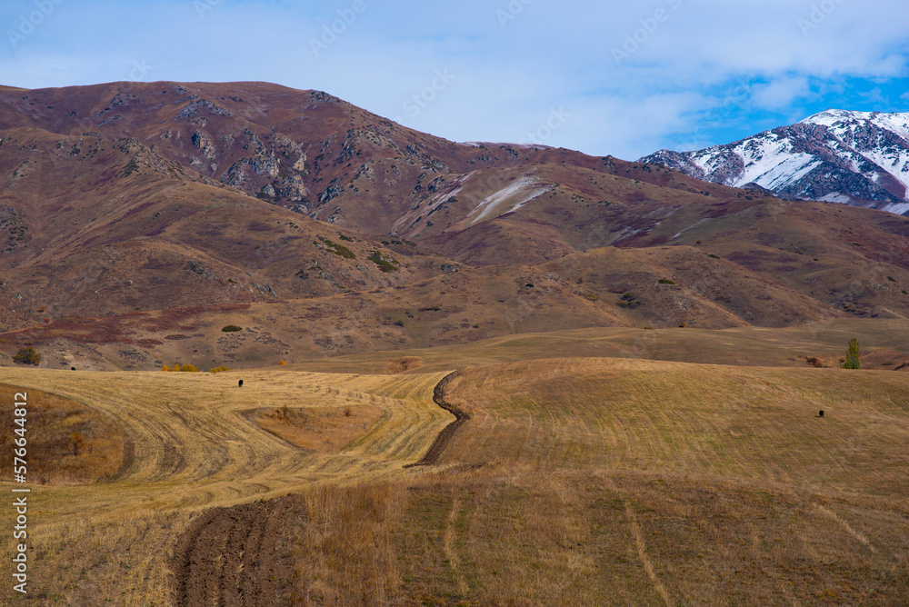 Obraz premium Agricultural areas in the Himalayan foothills in autumn colors. Valley of mountains. High mountains with snow-capped peaks on the background. Beautiful mountain landscape.