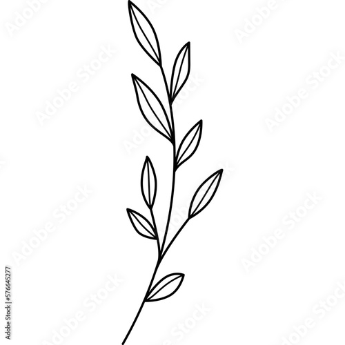 Plant Flower Outline Illustration