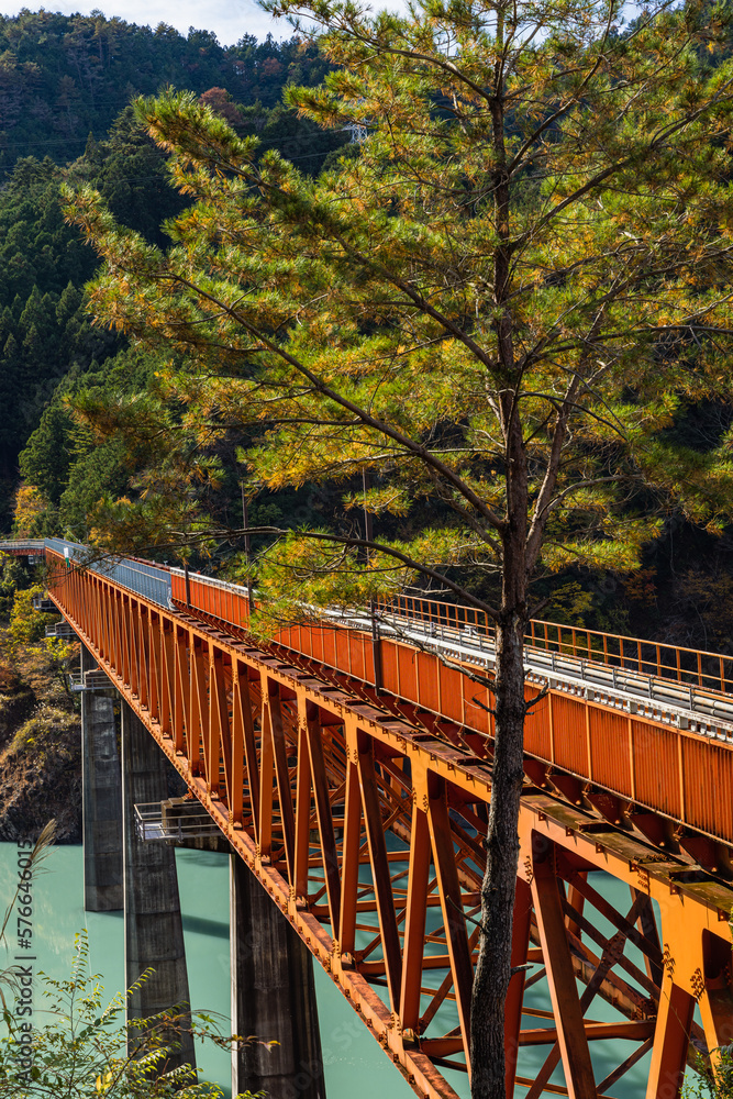 日本　静岡県榛原郡川根本町にある奥大井湖上駅に架かる鉄橋