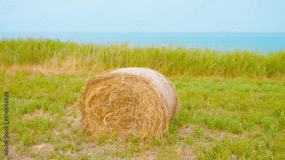 Yellow haystack in front of the ocean