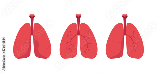 Human lungs anatomy concept. Vector flat healthcare illustration set. Red healthy lung with blood vessels on white background. Design element for health care, education, pulmonology