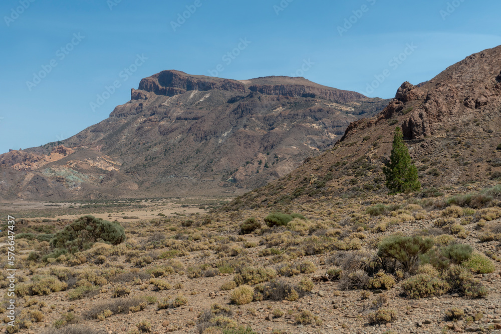 Teide National Park, located in the centre of the island of Tenerife, is the largest and oldest of the four national parks on the Canary Islands Spain Teide National Park, located in the centre of the island of Tenerife, is the largest and oldest of the four national parks on the Canary Islands Spain
