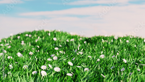 Easter landscape with daisy flower on field. 3d render