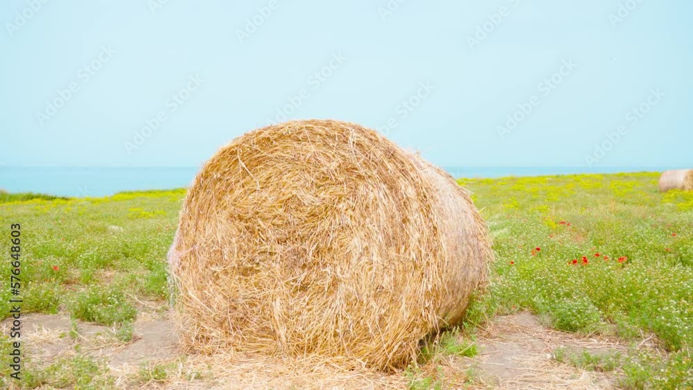 Haystack on the green field in front of the blue sea Haystack on the green field in front of the blue sea