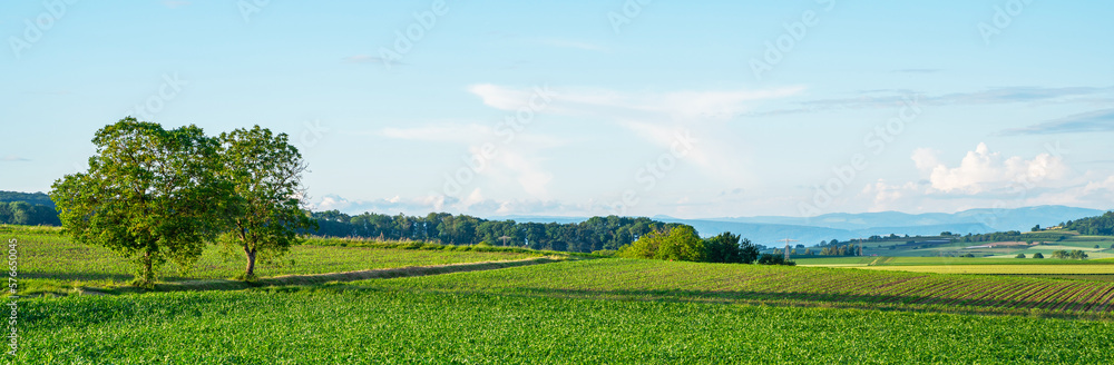 Idyllic rural view of farmland in the beautiful surroundings in eastern France, close to the Swiss and German borders. Fields and wonderful blue sky, panoramic view with shadows.