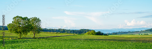 Idyllic rural view of farmland in the beautiful surroundings in eastern France, close to the Swiss and German borders. Fields and wonderful blue sky, panoramic view with shadows.