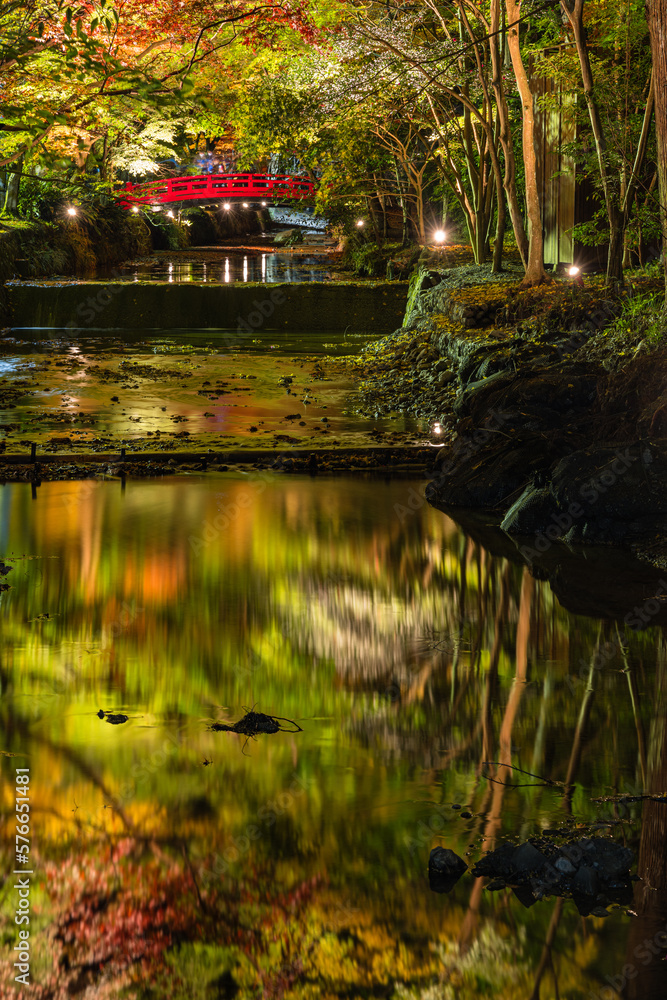 日本　静岡県周智郡森町にある小國神社のライトアップされた紅葉