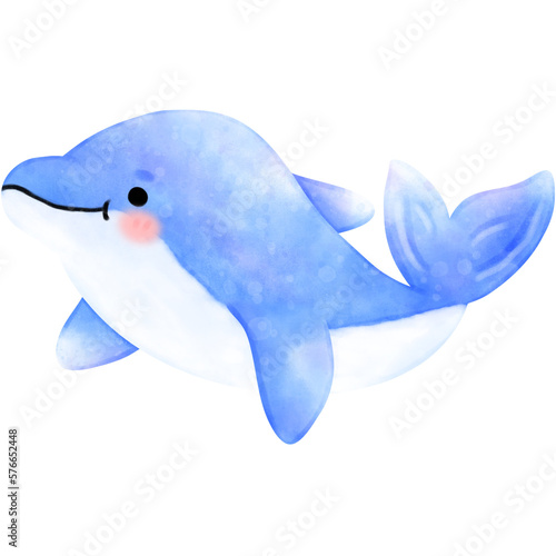 Dolphin illustration  sea life  animal illustration