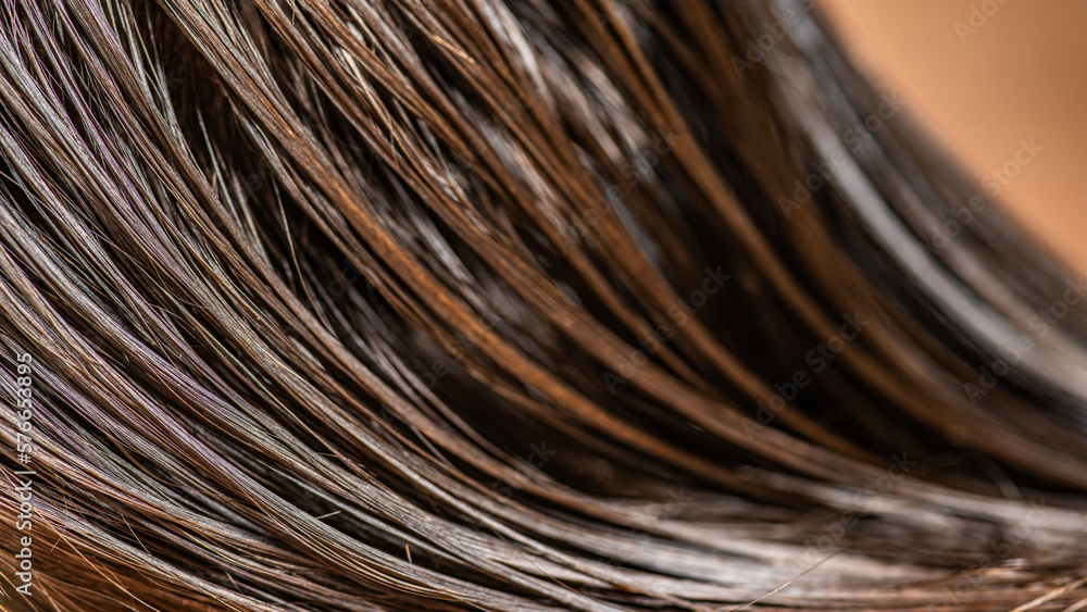 Beautiful wet long hair of a girl. Hair coloring in a beauty salon. Macro photography of women's hair. Concept of hair care.