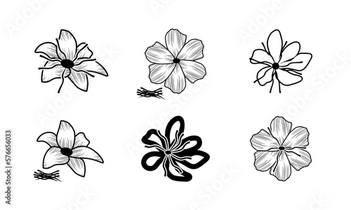 set of saffron flower icon, crocus Flower, flower vector on white background	