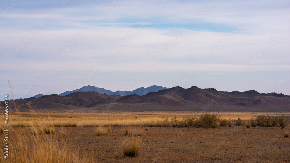 Rocky desert landscape with sparse vegetation and mountains peaks in a blue haze. Typical landscape near at Nepal Tibet border. Flat dry desert with mountains.