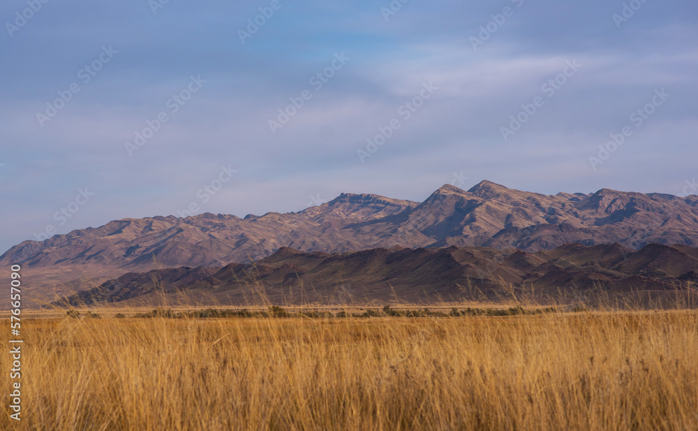 Obraz premium Rocky desert landscape with sparse vegetation and mountains peaks in a blue haze. Typical landscape near at Nepal Tibet border. Flat dry desert with mountains.