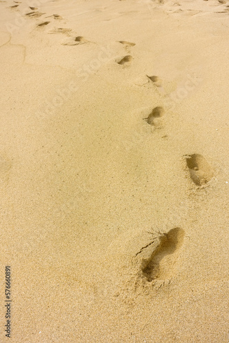 footsteps on the sand