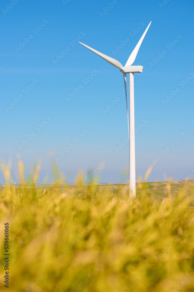 Wind turbine generator for green electricity production Wind turbine generator for green electricity production