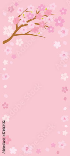 ピンクの桜の背景イラスト
