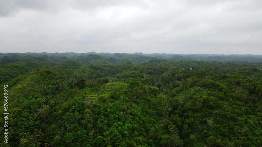 Aerial backwards shot over green lush Rainforest during cloudy day in Indonesia Aerial backwards shot over green lush Rainforest during cloudy day in Indonesia