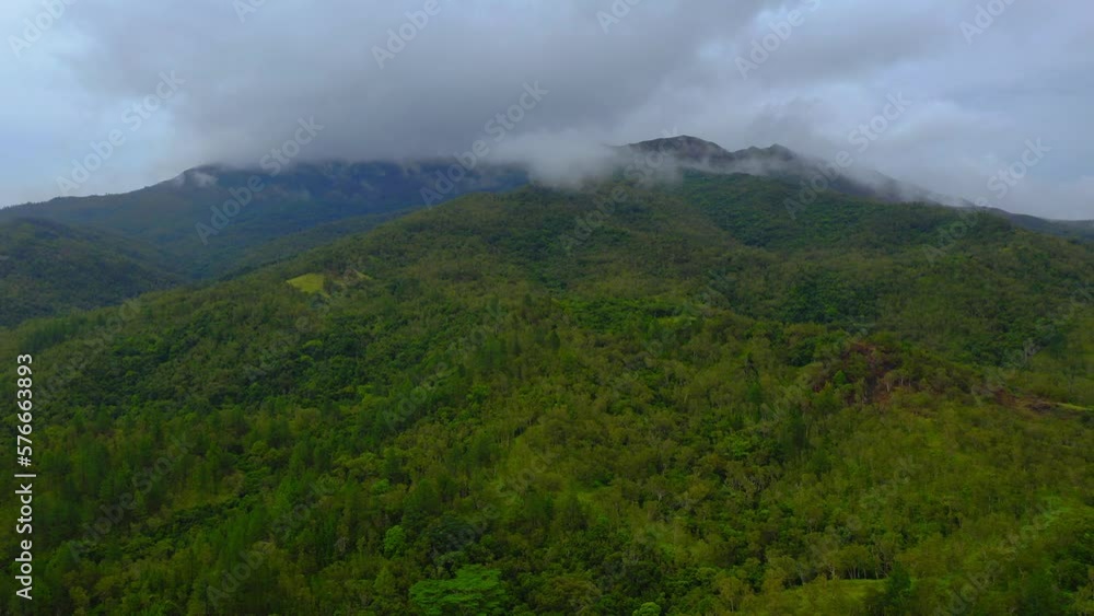 Soaring above the tropical mountain, the drone shot gradually descends, revealing the dense forest below as it approaches during a cloudy day. Soaring above the tropical mountain, the drone shot gradually descends, revealing the dense forest below as it approaches during a cloudy day.