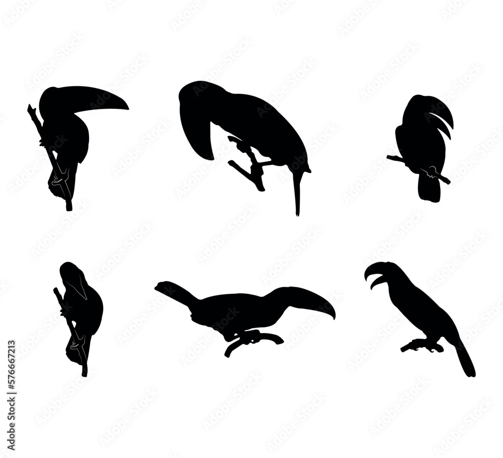 Obraz premium Collection of black silhouettes toucans