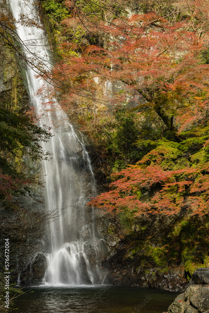 日本　大阪府箕面市にある箕面公園の箕面大滝と紅葉