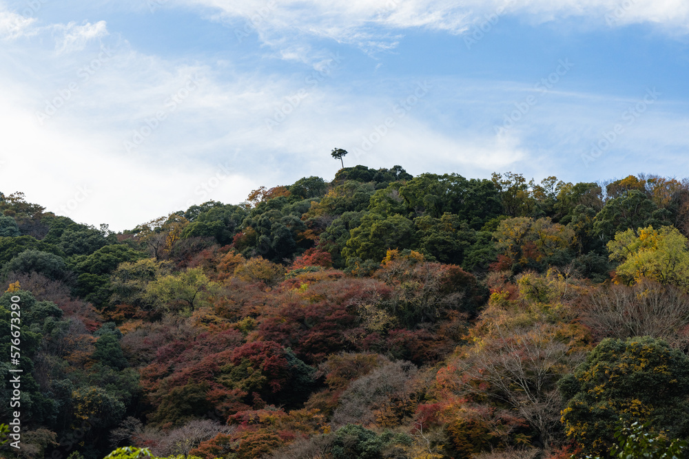 日本　大阪府箕面市にある箕面公園の登山口のトンネル