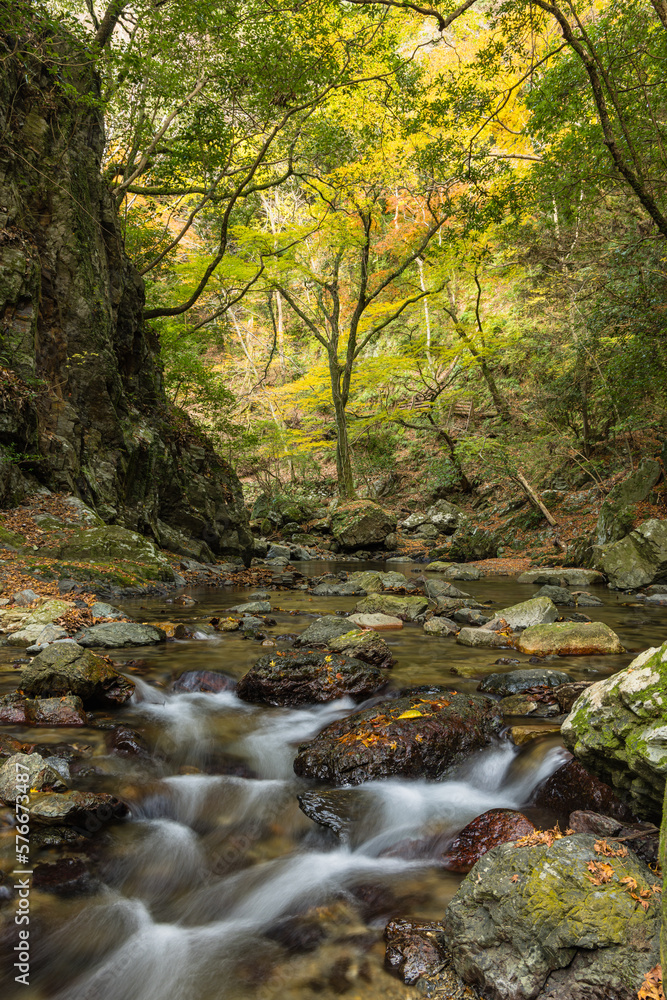 日本　大阪府箕面市にある箕面公園を流れる箕面川と紅葉した木々