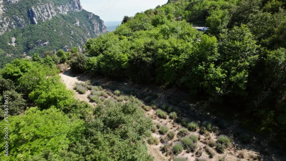 Drone flight over a wild lavender field in the hilly region of Provence Drone flight over a wild lavender field in the hilly region of Provence