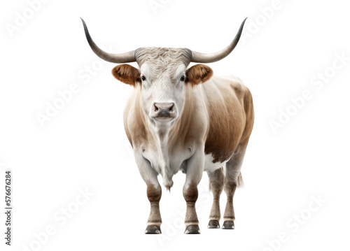 Bull isolated on white, transparent background, PNG, generative ai 