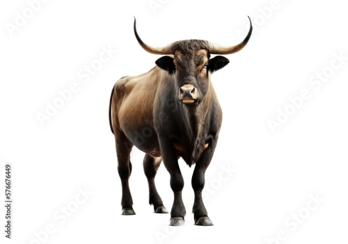 Bull isolated on white, transparent background, PNG, generative ai 