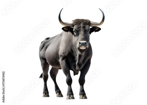 Bull isolated on white, transparent background, PNG, generative ai 