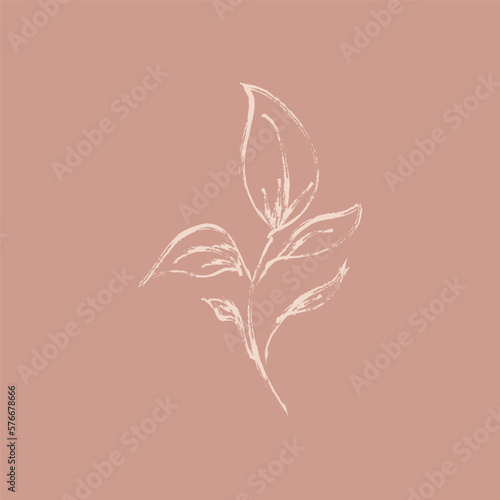 Sketch branch of leaves by hand on an isolated background