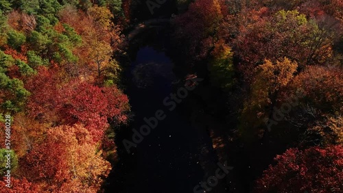 Kromlau, Devil's Bridge. Autumn scenery. Drone footage photo