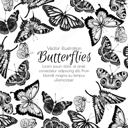 Vector frame insects. Monarch butterfly, hive butterfly, peacock butterfly, butterfly swallowtail, pieridae, butterflies admiral, podalirius, papilio in engraving style