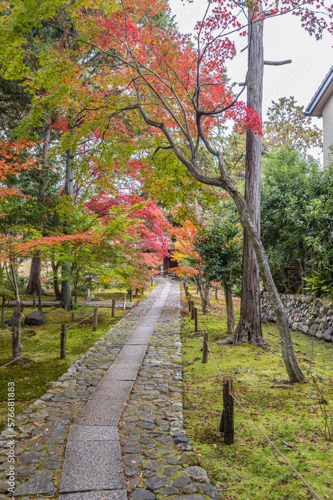 京都　鹿王院の紅葉
