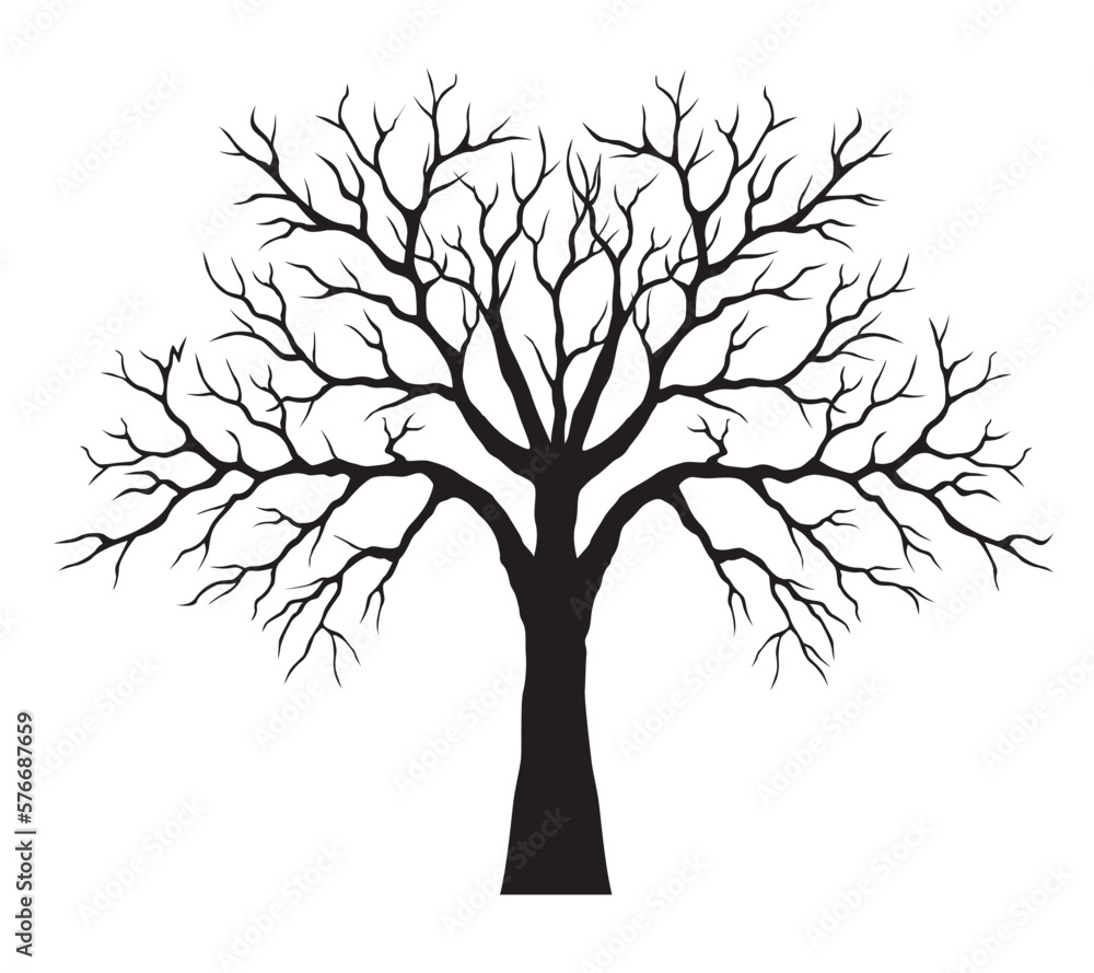 Fototapeta premium Old black Tree. Vectro Illustration. Outline graphic and isolated.