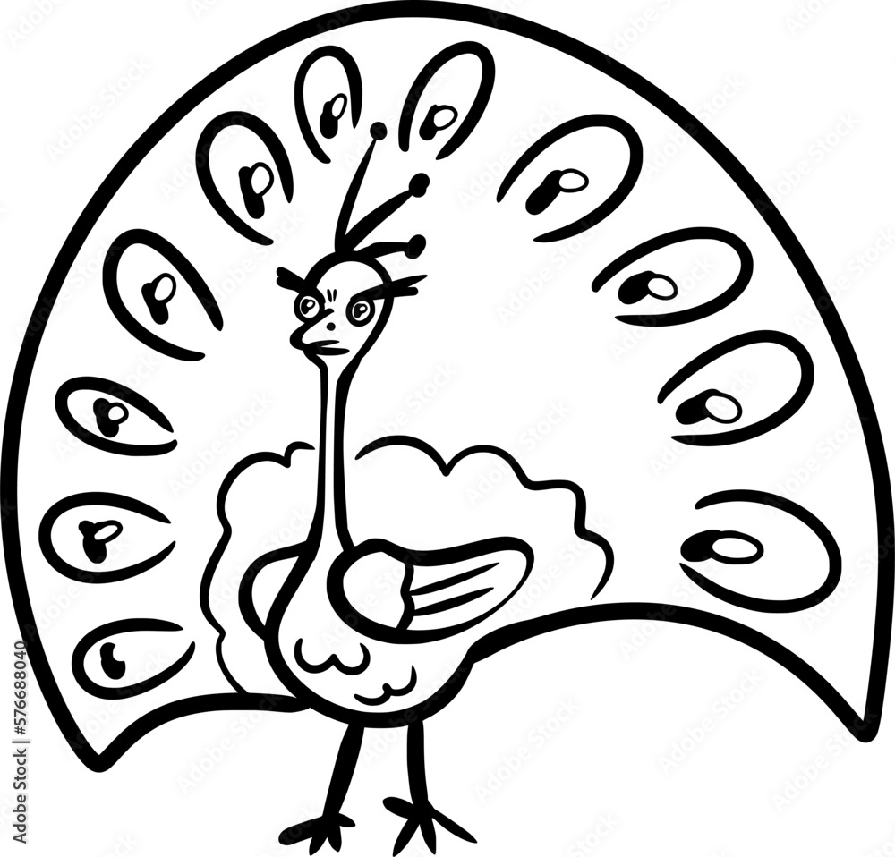 Vector drawing of a peacock. Black and white, silhouette, contour, doodle, flat. In cartoon style, hand drawn. On tail it has many eyes. Cute, bird, animal, male. Vector drawing of a peacock. Black and white, silhouette, contour, doodle, flat. In cartoon style, hand drawn. On tail it has many eyes. Cute, bird, animal, male.