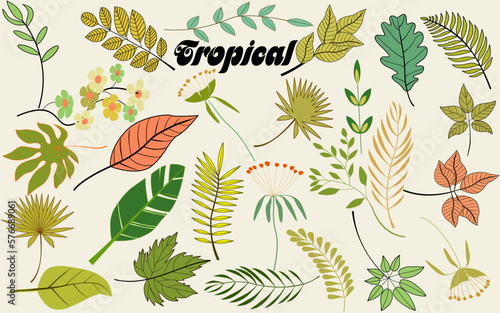 Tropical leaves, Plants isolated on white background, Set tropical leaves hand drawn flat illustrations.